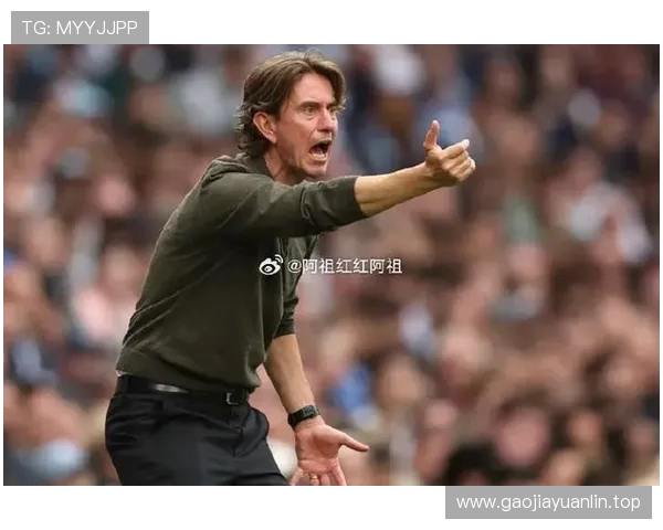 热刺遭FIFA病毒重创比苏马中招+5将缺席维拉之战